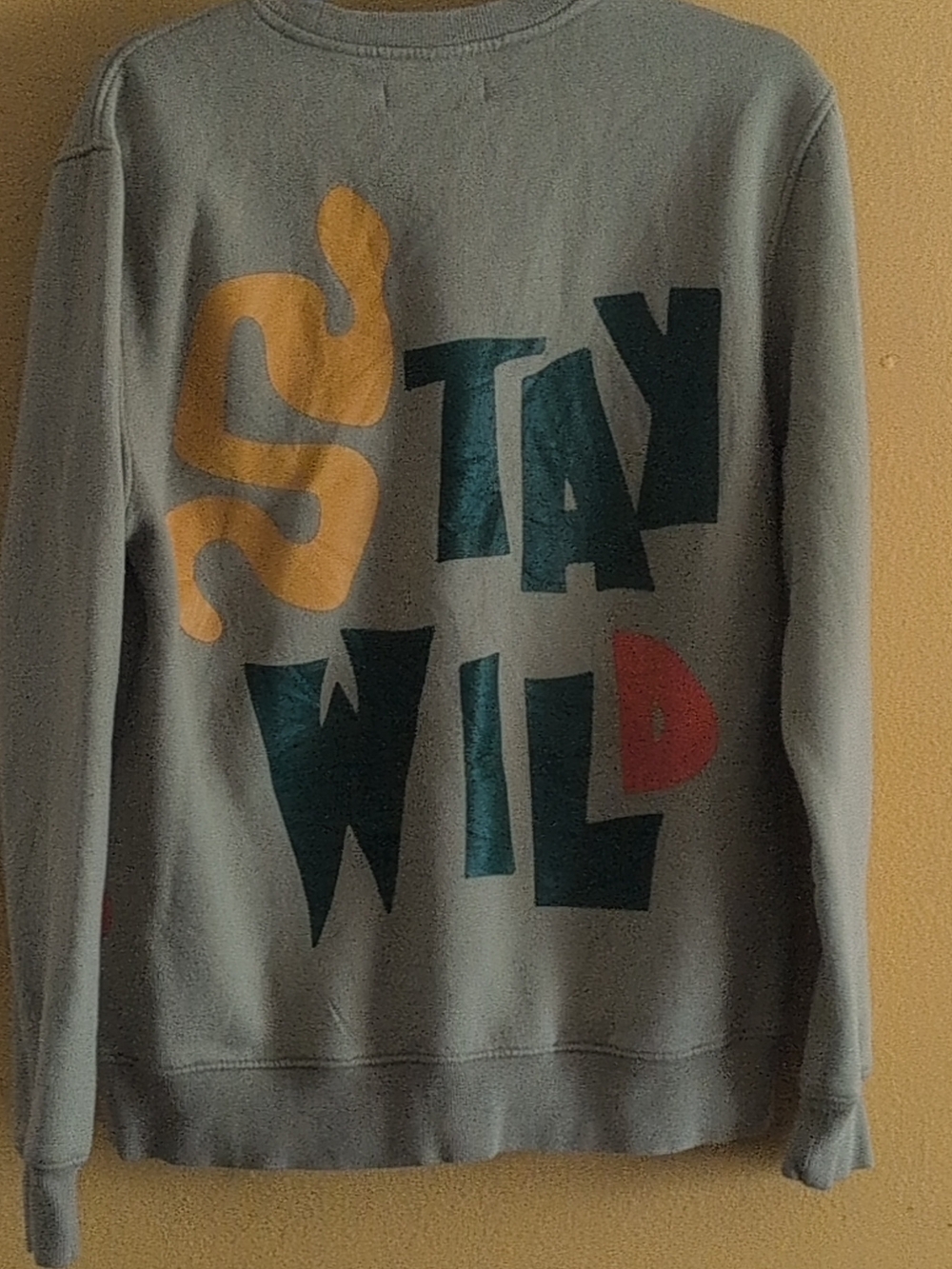 Roku Studio Light Gray Crewneck Sweatshirt with Color Block "STAY WILD" Graphic